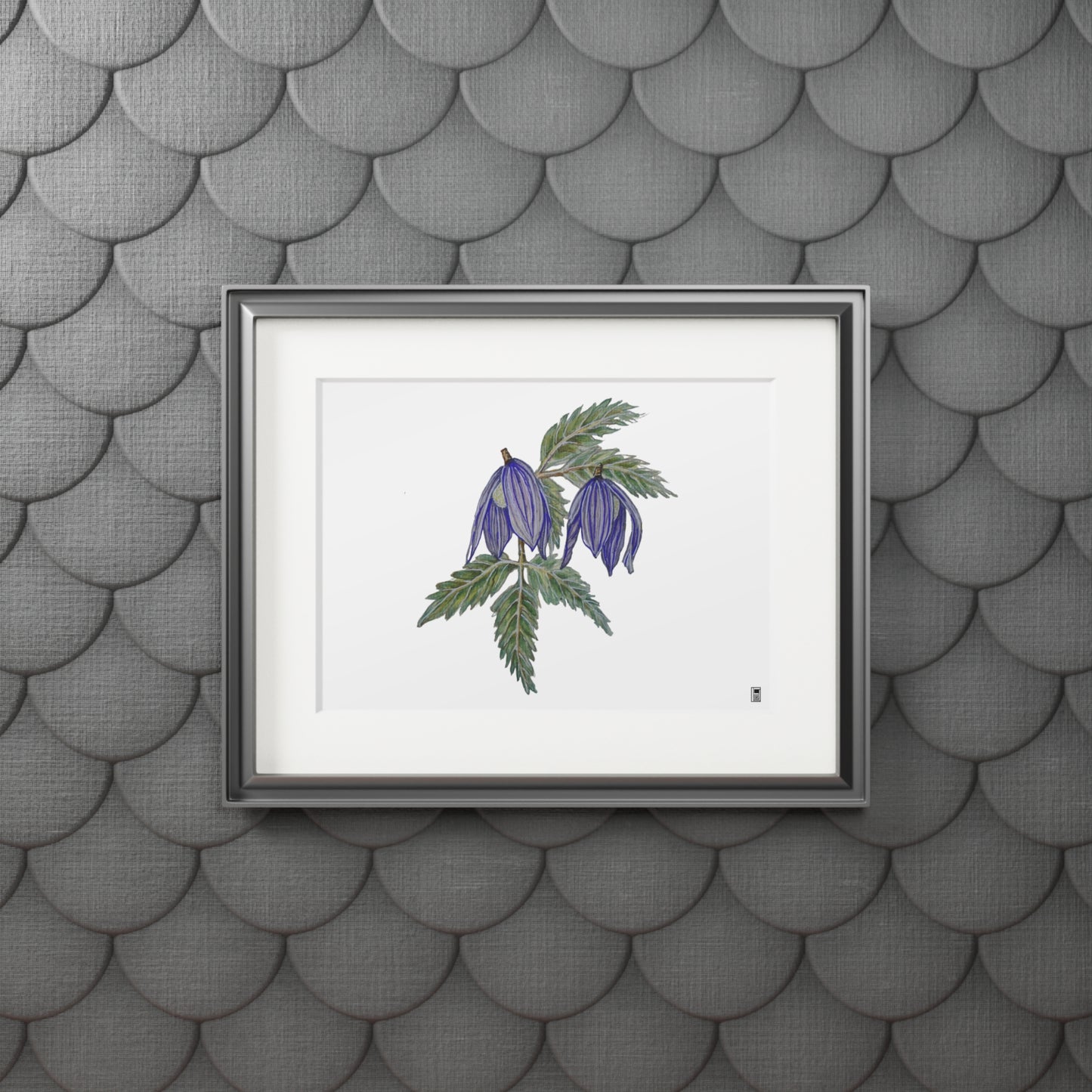 Fine Art Print (Cardboard Frame) - No. 270 - two purple flowers W