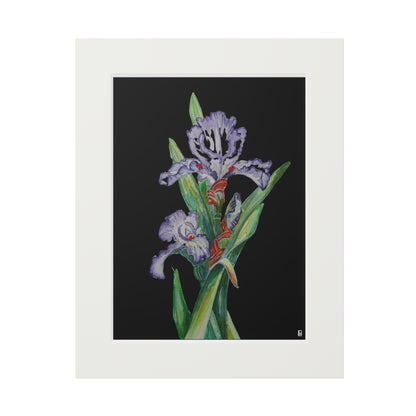 Fine Art Print (Cardboard Frame) - No. 272 - Purple Orchid