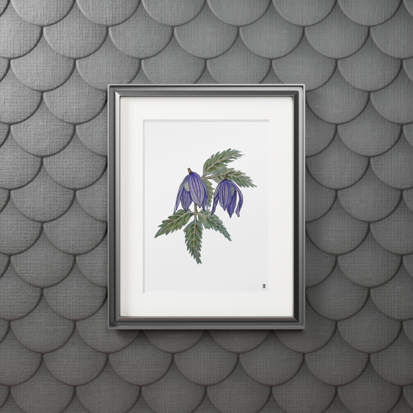 Fine Art Print (Cardboard Frame) - No. 270 - two purple flowers W