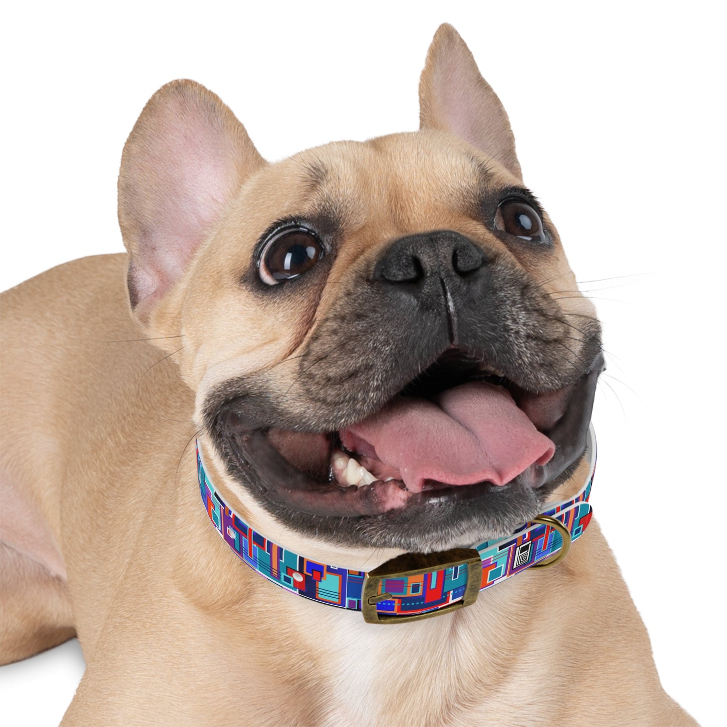 Dog Collar - No. 233 A - Squared 1