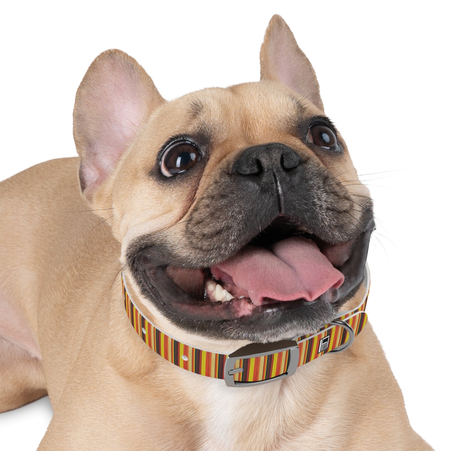 Dog Collar - No. 130