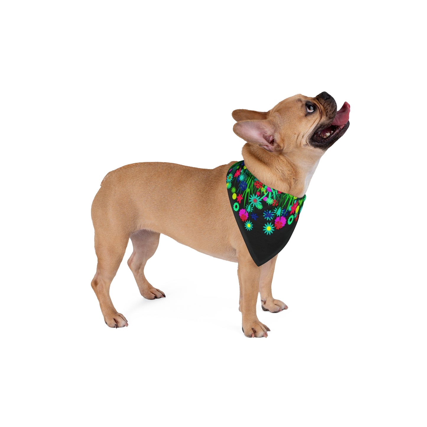 Pet Bandana - No. 301 BK - Flowers