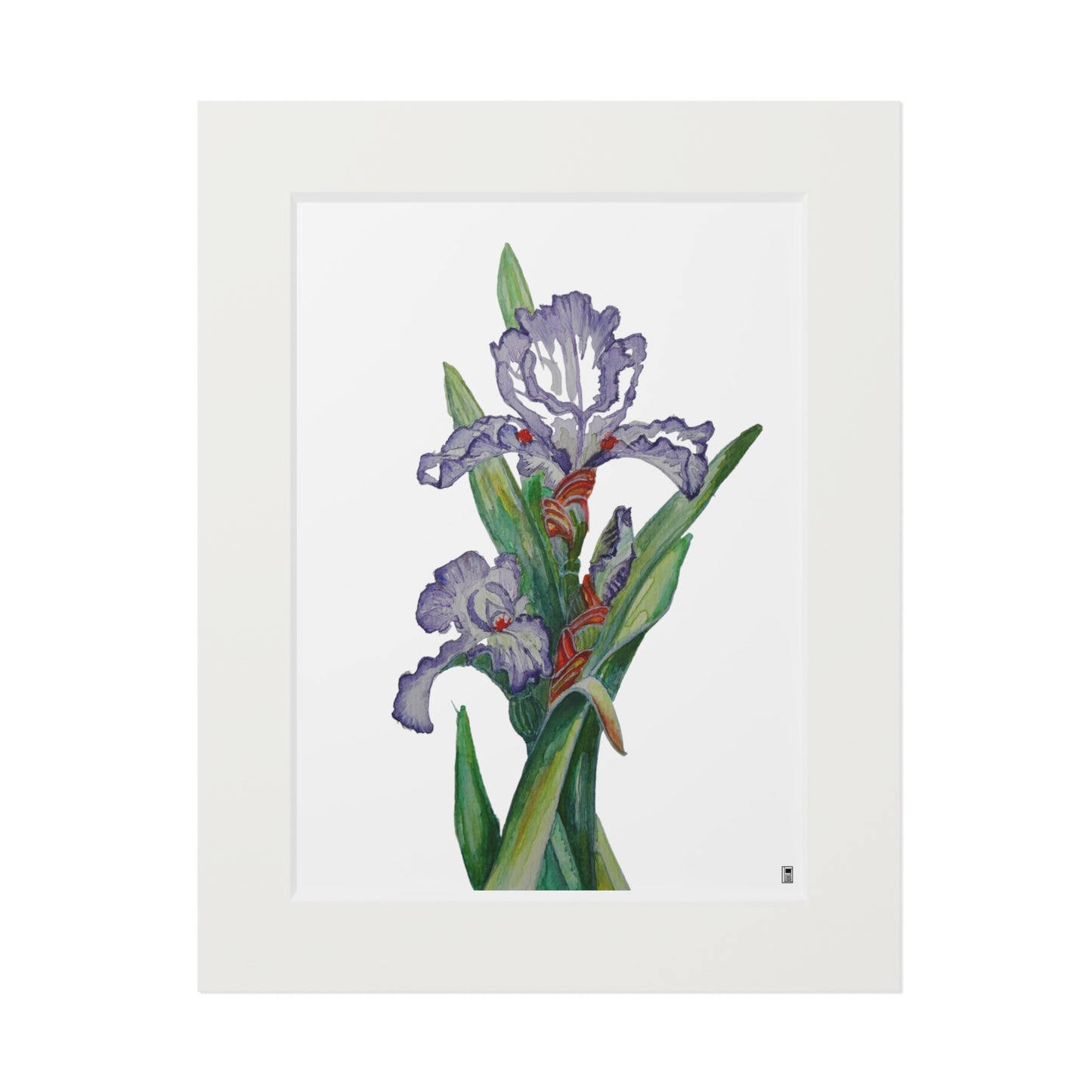 Fine Art Print (Cardboard Frame) - No. 272 - Purple Orchid W