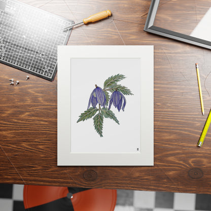 Fine Art Print (Cardboard Frame) - No. 270 - two purple flowers W