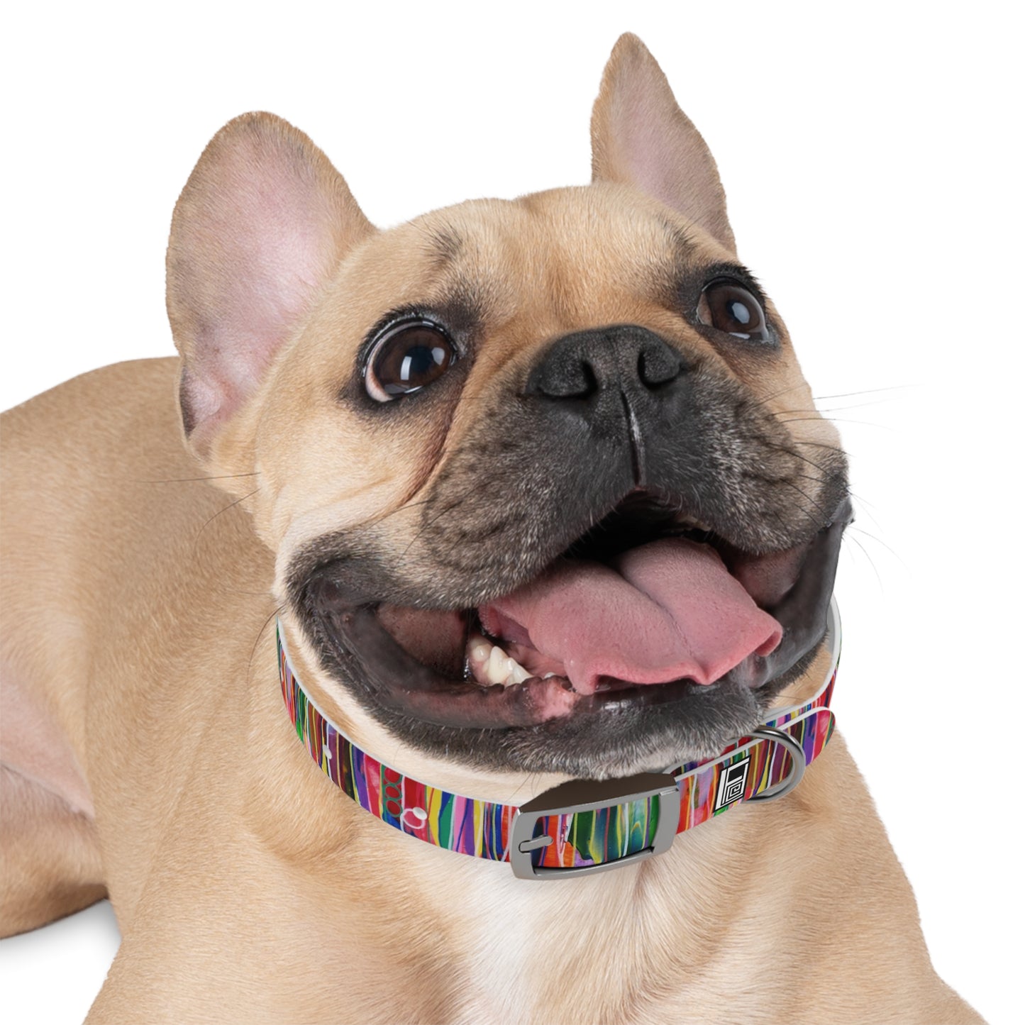 Dog Collar - No. 237 - Pods B