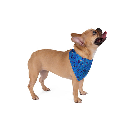 Pet Bandana - No.177 - Perfect Little Imperfections