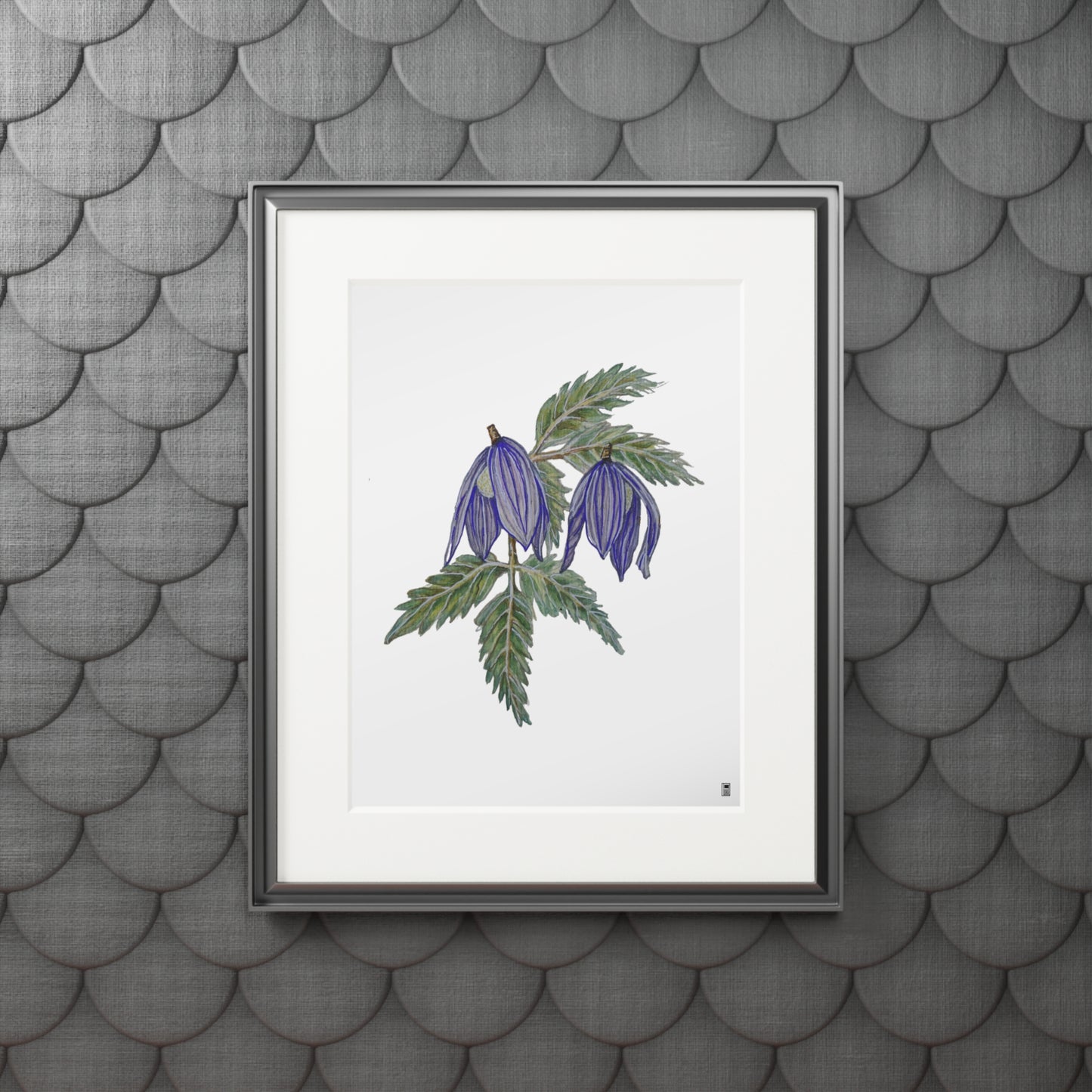 Fine Art Print (Cardboard Frame) - No. 270 - two purple flowers W