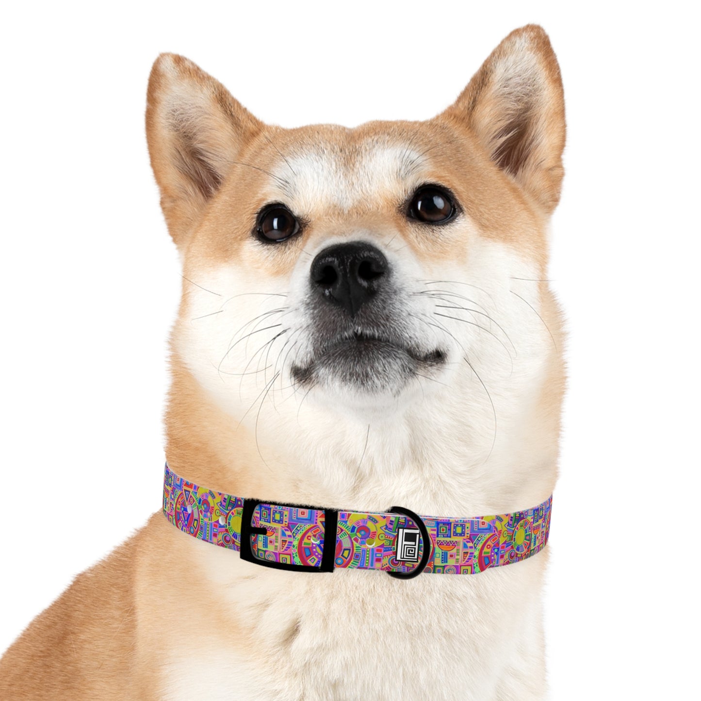 Dog Collar - No. 260