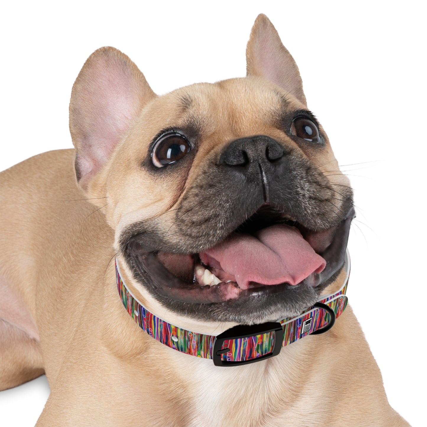 Dog Collar - No. 237 - Pods