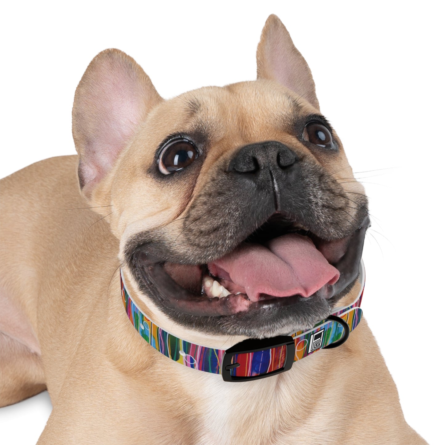 Dog Collar - No. 237 - Pods B