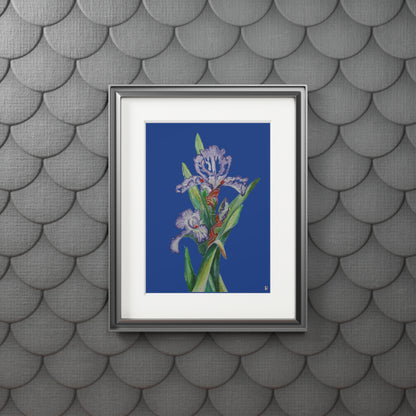 Fine Art Print (Cardboard Frame) - No. 272 - Purple Orchid N