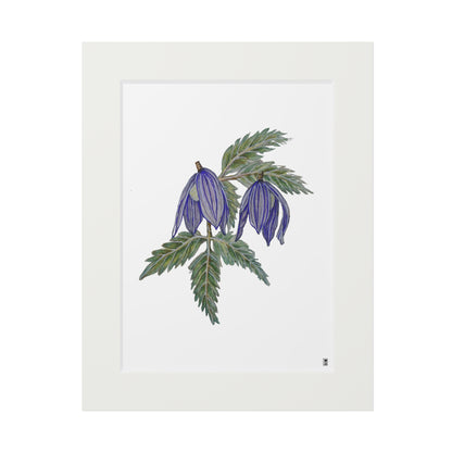 Fine Art Print (Cardboard Frame) - No. 270 - two purple flowers W