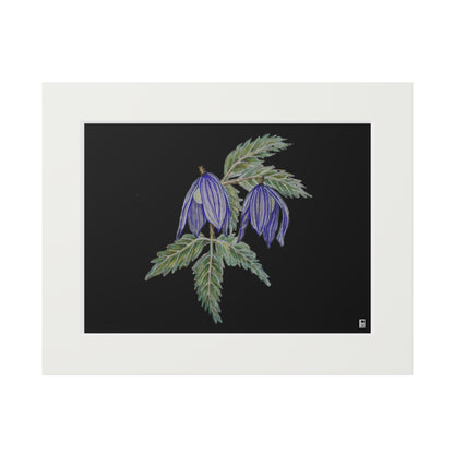 Fine Art Print (Cardboard Frame) - No. 270 - Two purple flowers B