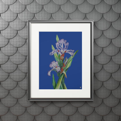 Fine Art Print (Cardboard Frame) - No. 272 - Purple Orchid N